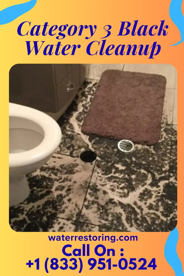 Category 3 Black Water Cleanup in Franklin, KY
