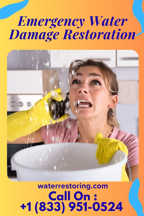 Emergency Water Damage Restoration in Franklin, KY