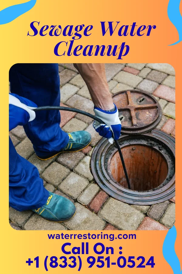 Sewage Water Cleanup in Franklin, KY